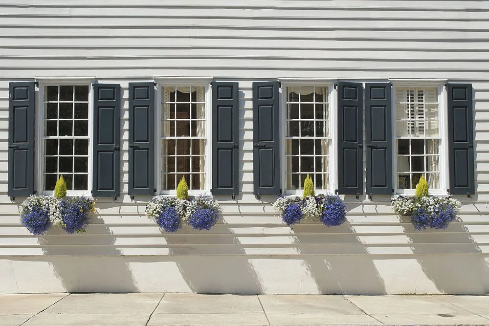 Sash windows